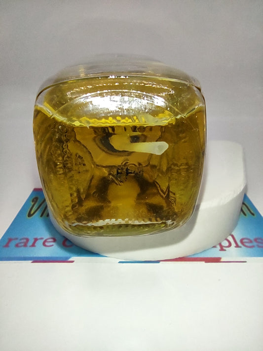 CHANEL NO 19 EDC, 1982 Batch, Women, Unisex | Vintage Decant Cologne Perfume Fragrance Samples