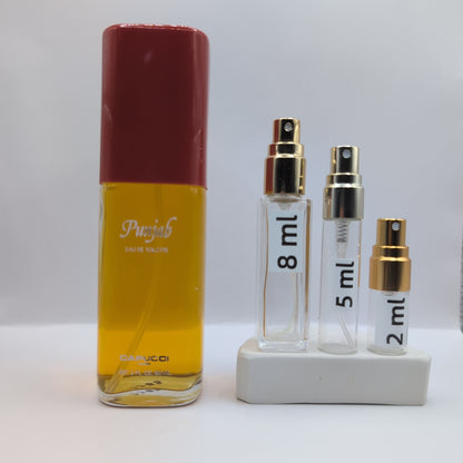 ROBERTO CAPUCCI Punjab EDT, 1985 Batch, Men | Vintage Decant Cologne Perfume Fragrance Samples