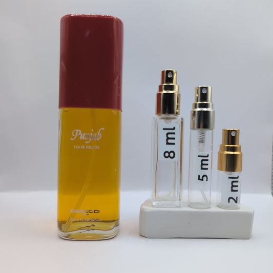 ROBERTO CAPUCCI Punjab EDT, 1985 Batch, Men | Vintage Decant Cologne Perfume Fragrance Samples